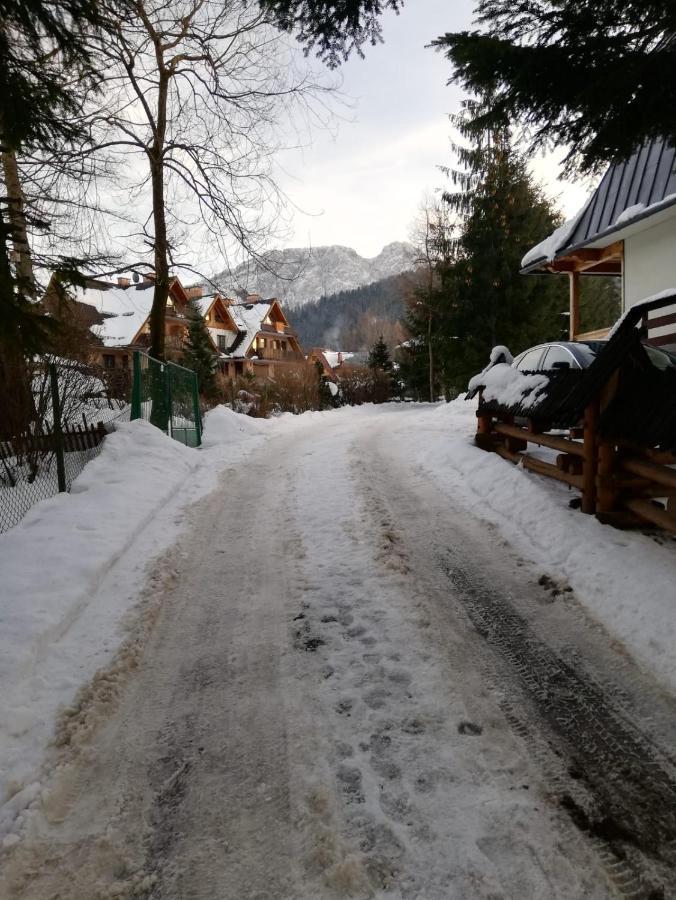 Apartamenty Villa Ski-Bowki Zakopane Buitenkant foto