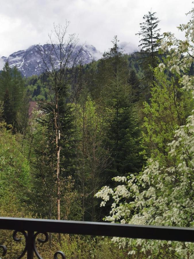 Apartamenty Villa Ski-Bowki Zakopane Buitenkant foto