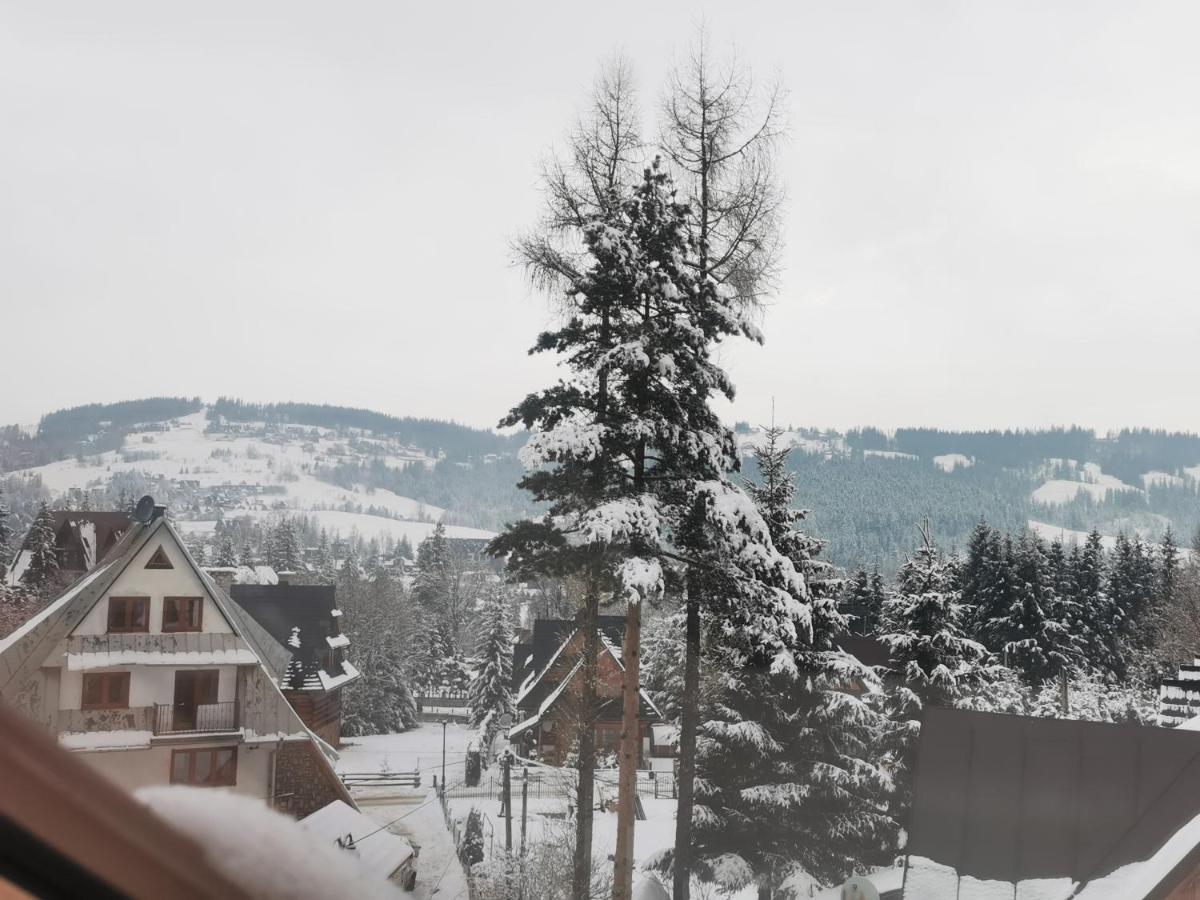 Apartamenty Villa Ski-Bowki Zakopane Buitenkant foto